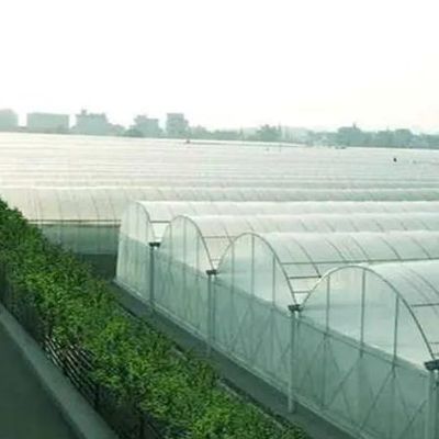 Aanpasbaar dubbelfilmhydroponisch systeem voor peperproductie Multi-Span Design