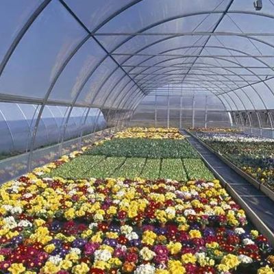 Doppellagige filmkas voor bodemloze verbouwing Tomaten Komkommer Bloemkwekerij