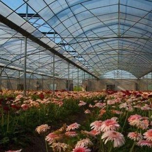 Doppellagige filmkas voor bodemloze verbouwing Tomaten Komkommer Bloemkwekerij