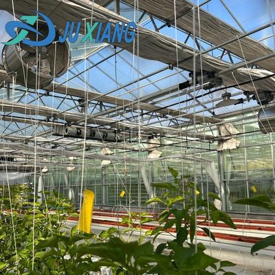 Goedkope commerciële kas voor groenten of bloemen Monsters US 20 per vierkante meter