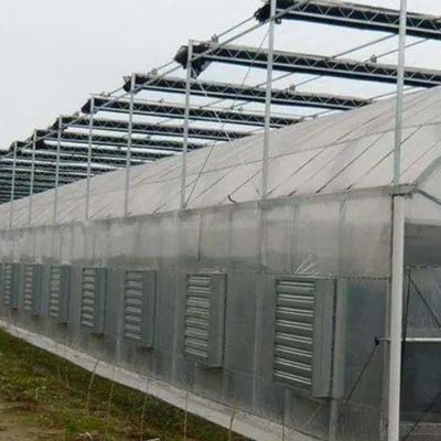 Tijdelijke verwarmingsboogdakskas voor de tamatie- en komkommerbouw