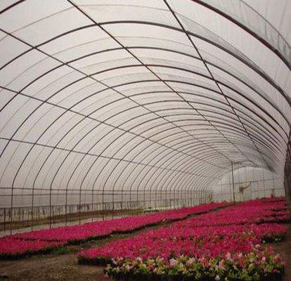 Double-Arch Pepper and Flower Hydroponic Greenhouse met Multi-Span dakvorm