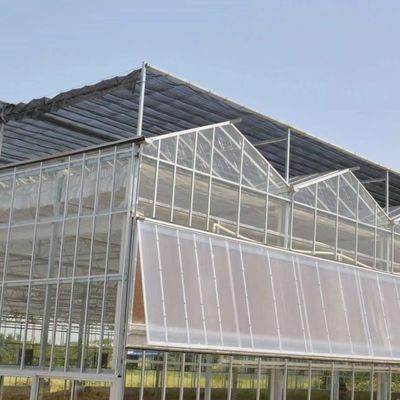 US Hot DIP gegalvaniseerd staal Multi Span glas kas 50,00cm * 60,00cm * 80,00cm