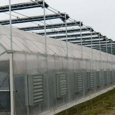 1209.00cm * 235.00cm * 239.00cm Filmbedekking Kas voor de teelt van tomaten en komkommers