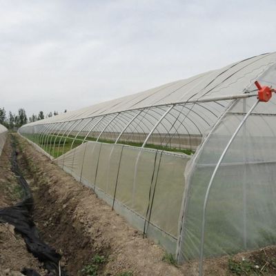 1209.00cm * 235.00cm * 239.00cm Filmbedekking Kas voor de teelt van tomaten en komkommers