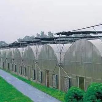 2000.000kg Pakket Bruto Gewicht Eénpan Hydroponisch Systeem voor Doppelboogkassen