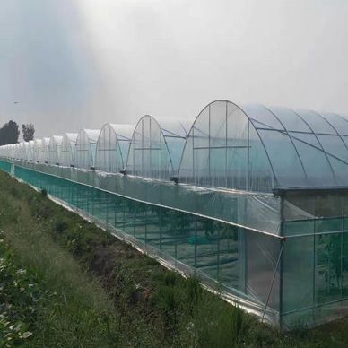 2000.000kg Pakket Bruto Gewicht Eénpan Hydroponisch Systeem voor Doppelboogkassen