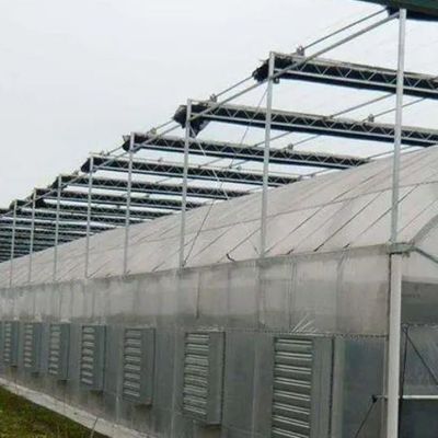 2000.000kg Pakket Bruto Gewicht Eénpan Hydroponisch Systeem voor Doppelboogkassen