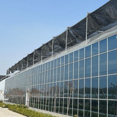 JX-A0018 Glazen kas voor de tamatieverbouwing 30 dagen Terugkeer Terugbetalingen Duurzaam Makkelijk
