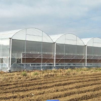 Tijdelijke verwarmingsfilm kas Groenten- en bloemenhydroponisch systeem voor het planten