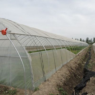 Tijdelijke verwarmingsfilm kas Groenten- en bloemenhydroponisch systeem voor het planten