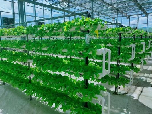 Staalstructuur Vochtigheidsgecontroleerd groeisysteem Juxiang's innovatieve technologie