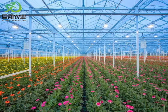 Staalstructuur Vochtigheidsgecontroleerd groeisysteem Juxiang's innovatieve technologie