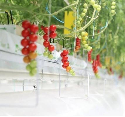 Hydroponisch systeem tegen druppelneveling geschikt voor het overwinteren van pluimvee en vee