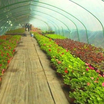Hydroponisch systeem tegen druppelneveling geschikt voor het overwinteren van pluimvee en vee