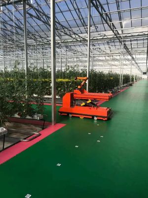 Temperatuurgecontroleerde plantfaciliteit door Juxiang en betaalbare plantoplossing