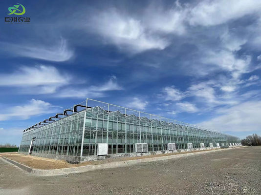 Temperatuurgecontroleerde plantfaciliteit door Juxiang en betaalbare plantoplossing