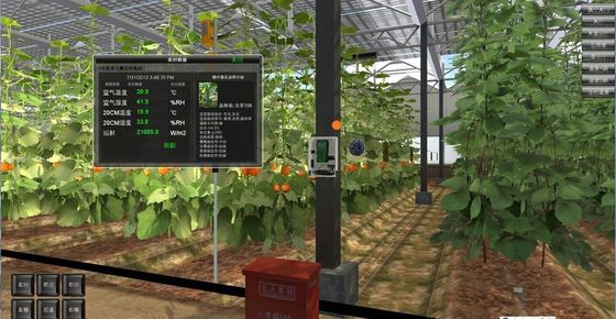 Temperatuurgecontroleerde plantfaciliteit door Juxiang en betaalbare plantoplossing