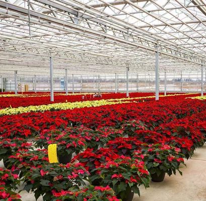 Hydroponics Cultivatie methode PC Plaat Tuin Bloem Zonlicht Kas voor Canada gebied