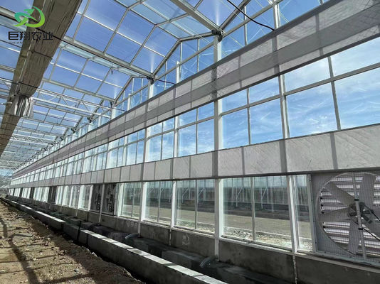 Aanpasbare grootte en Juxiang prime s anti-druppel nevelstructuur voor zaailingen Perfect
