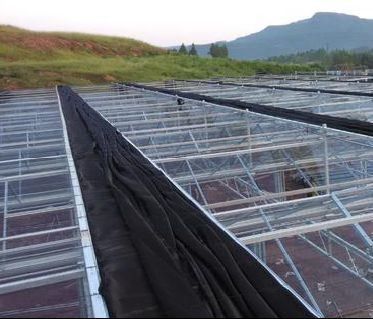 30 dagen terugkeer mist voorkomen systeem voor de bloemenproductie in boog dak kas