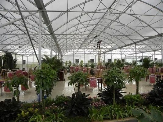 Wet Curtain Hydroponic Seedling Greenhouse met aanpassings- en pakketgrootteopties