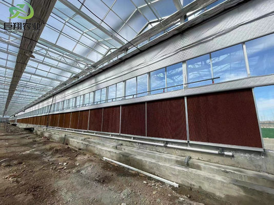 Wet Curtain Hydroponic Seedling Greenhouse met aanpassings- en pakketgrootteopties
