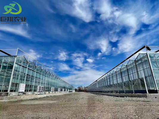 Wet Curtain Hydroponic Seedling Greenhouse met aanpassings- en pakketgrootteopties