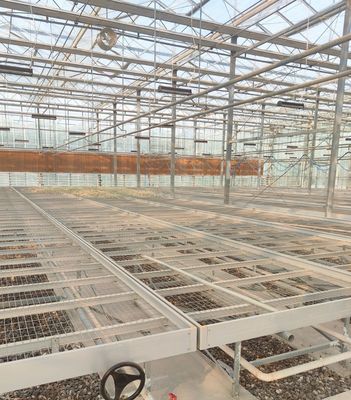 Hydroponics Stromale luchtvochtigheidscontrole kas met gebogen dak en multi-span ontwerp