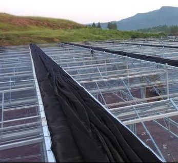 Hydroponics Stromale luchtvochtigheidscontrole kas met gebogen dak en multi-span ontwerp