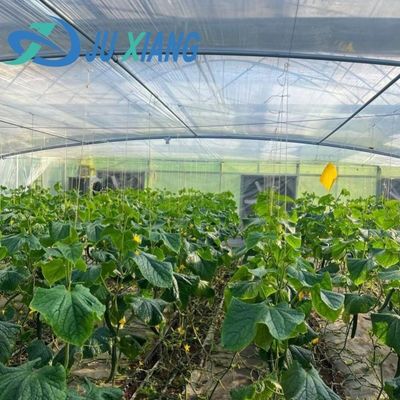 Hydroponics Stromale luchtvochtigheidscontrole kas met gebogen dak en multi-span ontwerp