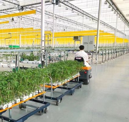Eenvoudige of meervoudige Juxiang-dubbele laag filmkas voor de bloemenproductie Groen