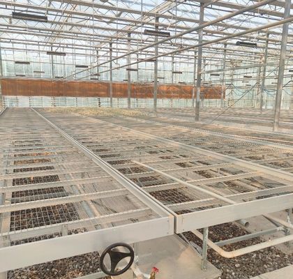 Eenvoudige of meervoudige Juxiang-dubbele laag filmkas voor de bloemenproductie Groen
