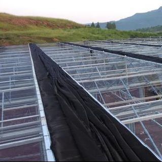 Warmluchtblazer/warmwaterverwarming Double-Arch Hydroponics kas voor bloemen en tomaten