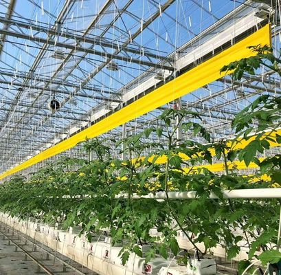 Warmluchtblazer/warmwaterverwarming Double-Arch Hydroponics kas voor bloemen en tomaten