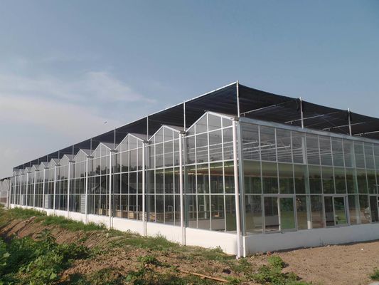 Inrichting voor hydroponische zaaierij met grote capaciteit en verbouwing