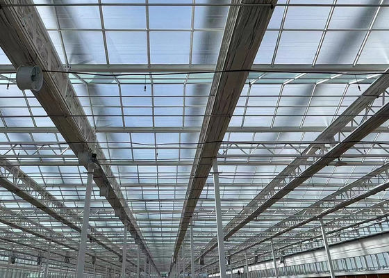Inrichting voor hydroponische zaaierij met grote capaciteit en verbouwing