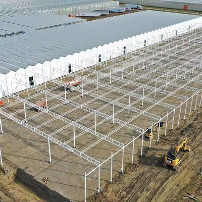 Staalstructuur kas voor peperproductie met behulp van hydroponica-teeltmethode