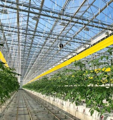 Staalstructuur kas voor peperproductie met behulp van hydroponica-teeltmethode