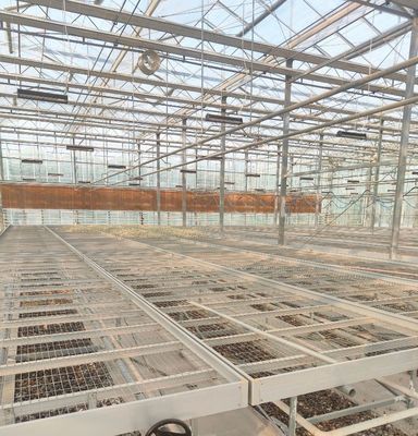 Staalstructuur kas voor peperproductie met behulp van hydroponica-teeltmethode