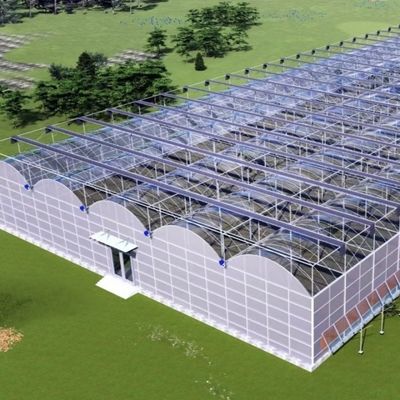 Staalstructuur kas voor peperproductie met behulp van hydroponica-teeltmethode
