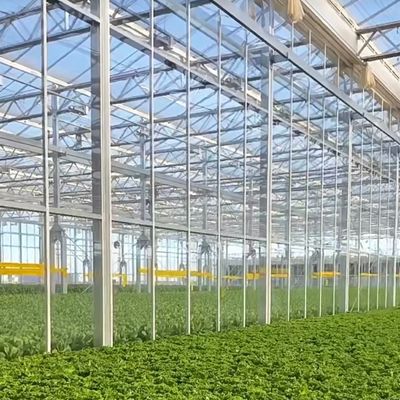 JX-H0068 Bied anti-druppeltechnische kas voor de aanpassing van bloemen en tomaten