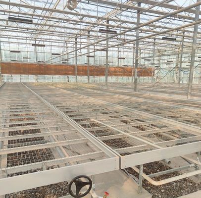 - Gefabriceerd hydroponisch kas met anti-druppel technologie met volledige betaling groenten verbouwen