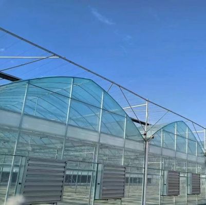 Doppelboogstructuur - Geproduceerde hydroponische kas voor gemengde landbouwproductiebehoeften