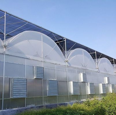 Doppelboogstructuur - Geproduceerde hydroponische kas voor gemengde landbouwproductiebehoeften