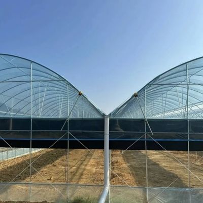 Doppelboogstructuur - Geproduceerde hydroponische kas voor gemengde landbouwproductiebehoeften