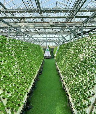 Pepper Cultivation Dual-Layer Film Greenhouse 12,09cm * 2,35cm * 2,39cm Pakketgrootte