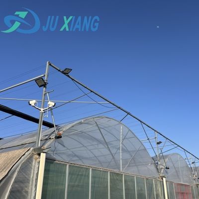 Pepper Cultivation Dual-Layer Film Greenhouse 12,09cm * 2,35cm * 2,39cm Pakketgrootte