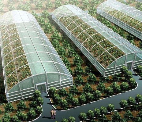 Pepper Cultivation Dual-Layer Film Greenhouse 12,09cm * 2,35cm * 2,39cm Pakketgrootte