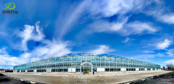Juxiang's vochtigheidsgecontroleerde plantfaciliteit Pakket bruto gewicht 2000.000kg Oplossing
